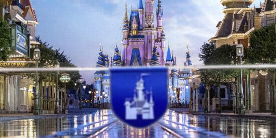 Rope Dropping at Disney World and Disney Castle on the background