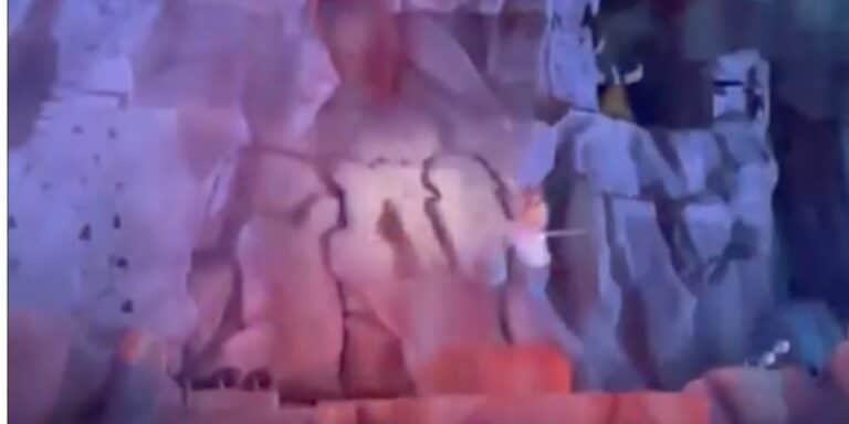 Fantasmic! Canceled at Disney World After Reported Injury