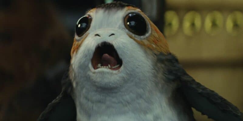 A porg screams