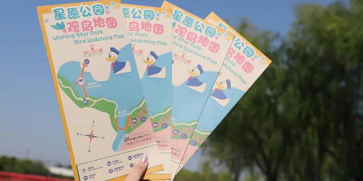 Birdwatching at Shanghai Disney Resort