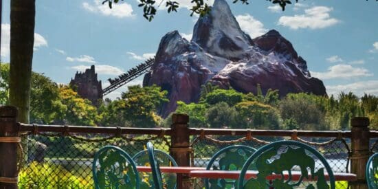 Seats in front of Expedition Everest