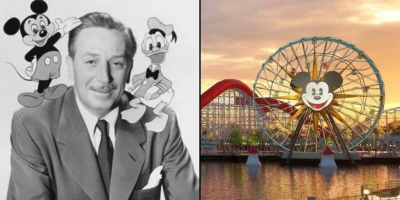 After Dark Event Returning to Disney