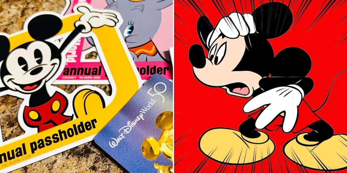 Annual Passes Reestablished, Outraged Disney Fans Point Out High Cost