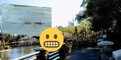 An alligator at Disney World, a shocked emoji, a walkway along the water in frontierland.
