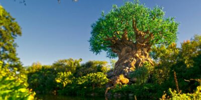 Disney's Animal Kingdom