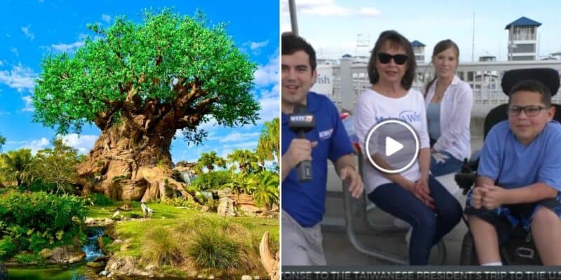 Make-A-Wish Gifts Child With Surprise Trip to Disney World