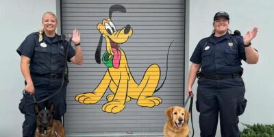 Disney Security Cast Members to Receive Huge Wage Increase