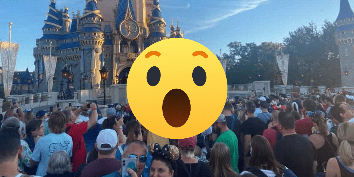Crowds in front of Cinderella Castle
