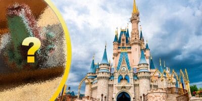 Cinderella Castle on the right and the hidden image of animals in Disney World
