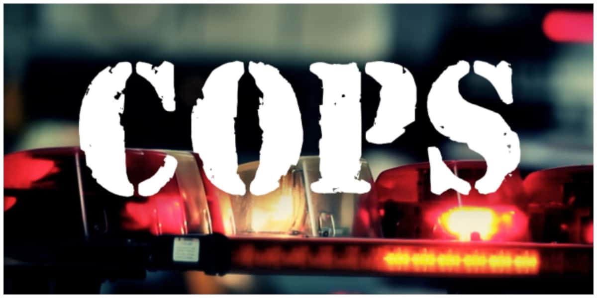 COPS series