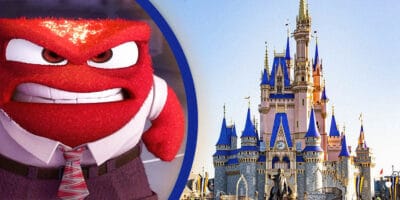 Cinderella Castle on the right and Anger Character on the left