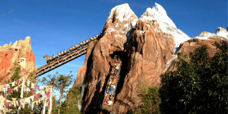External view of Expedition Everest