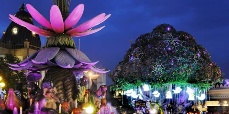 Magic Tree at nighttime