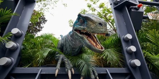 A raptor at Islands of Adventure