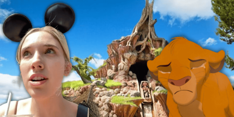 A Guest talking and Simba looking sad pictured in front of Splash Mountain on a clear day.