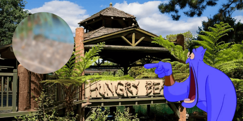 The entrance to Hungry Bear at Disneyland in the background of a blurred photo of a rat, and Aladdin's Genie pointing at it looking shocked.