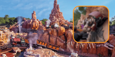 Guests riding Big Thunder Mountain Railroad, a Disneyland ride.
