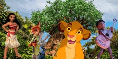 Animal Kingdom, Moana, Zootopia, Lion King, Coco
