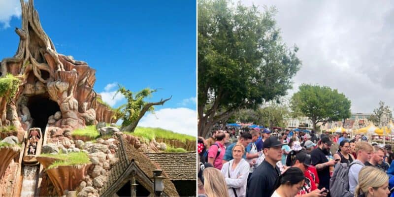 Despite Racism and Controversy, Massive Crowds Storm Through Disney Park Towards Splash Mountain for One Final Ride