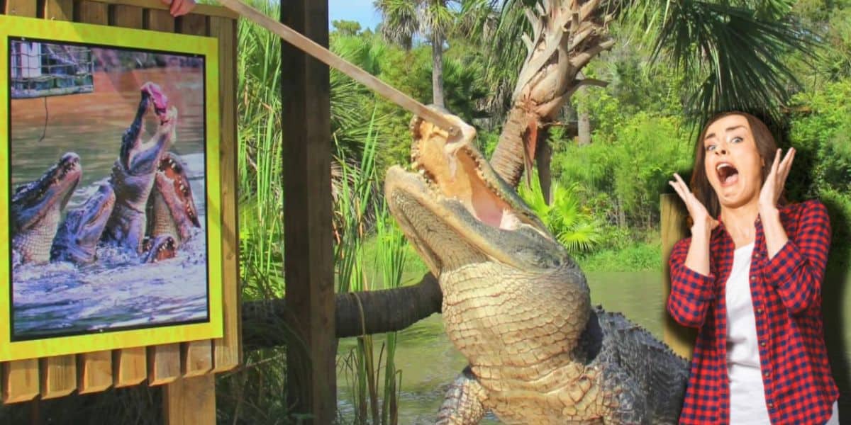 This Central Florida Theme Park Is Offering FREE Admission