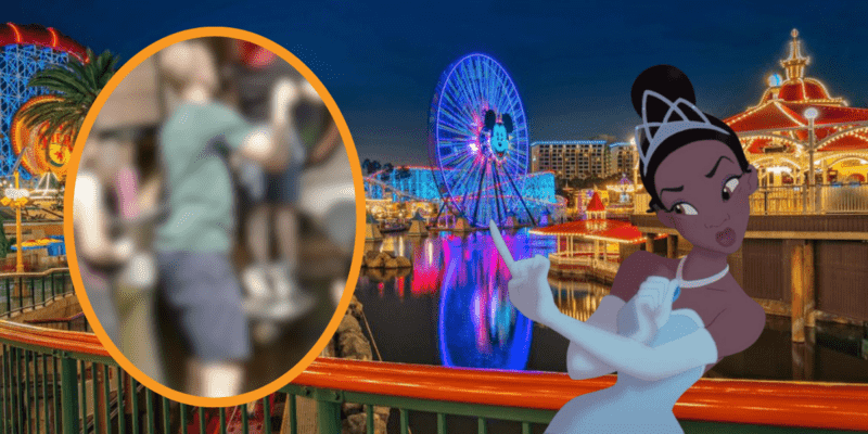 A blurred image of a Disneyland Guest & his son, Pixar Pier at night, Princess Tiana looking disgusted.