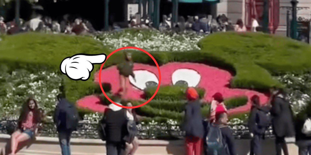 A cartoon Mickey hand points to a little boy climbing through a topiary at Disneyland Paris.