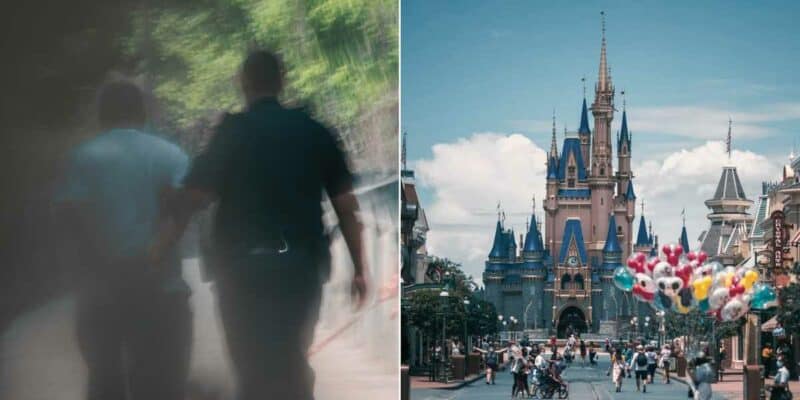 Person being arrested (L) and Cinderella Castle at Walt Disney World Resort (R)