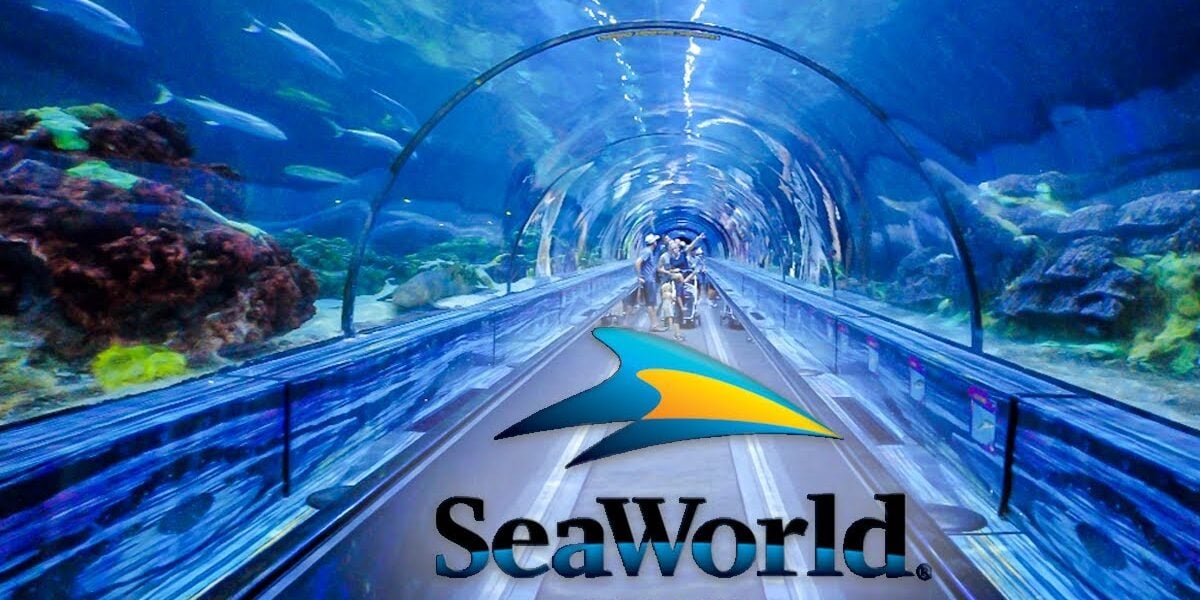 An underwater location inside of SeaWorld Orlando in Florida