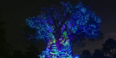 Tree of Life 'awakens' for Christmas
