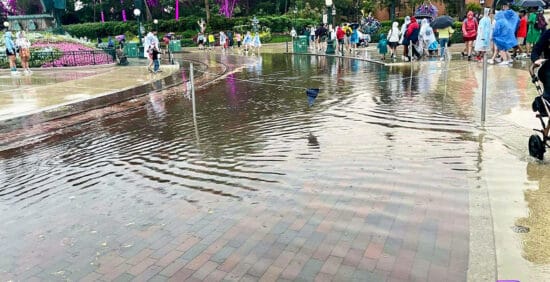 Devastating Storm Leaves Disney Property in Ruins