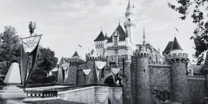 Sleeping Beauty Castle in Black and White