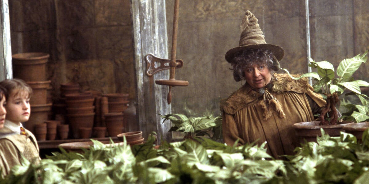 Miriam Margolyes as Professor Sprout