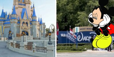disney-world-protestors