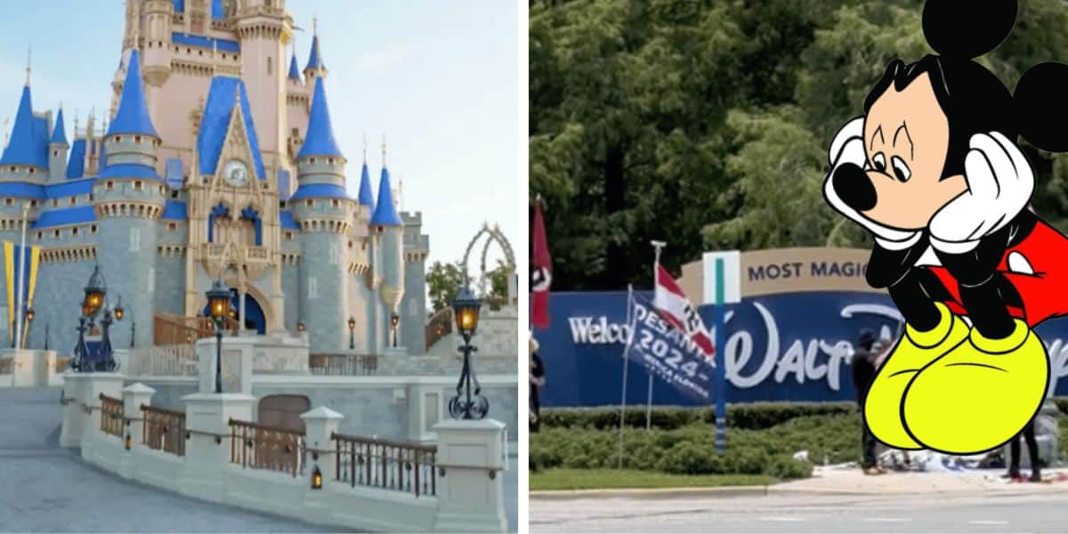 disney-world-protestors