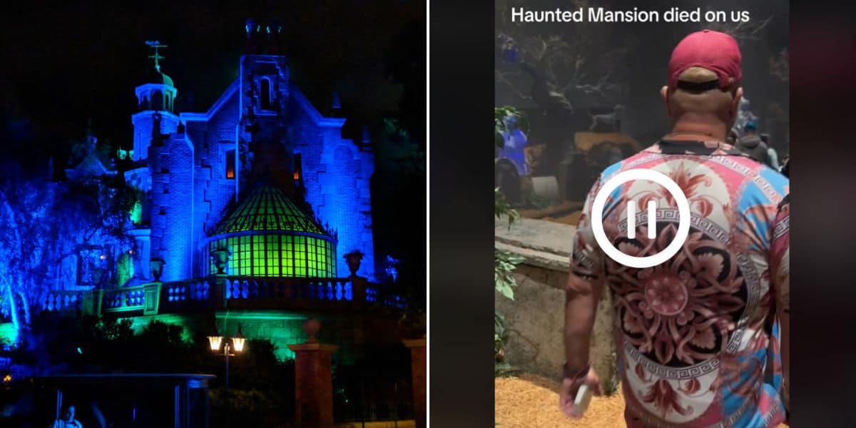 Disney Guest Makes the Best Out of Attraction Breaking Down