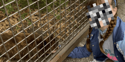 A woman (whose face is censored) pets one of many Disneyland cats, Snickers.