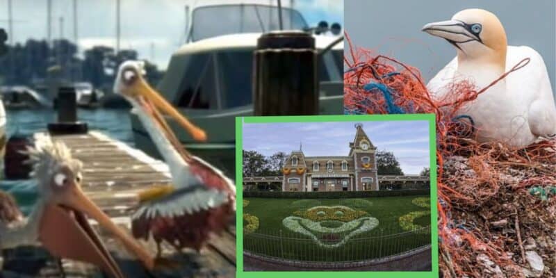 Image of 'Finding Nemo' beside a struggling bird and Disney's well-kept lawns as demand for sustainable tourism is on the rise