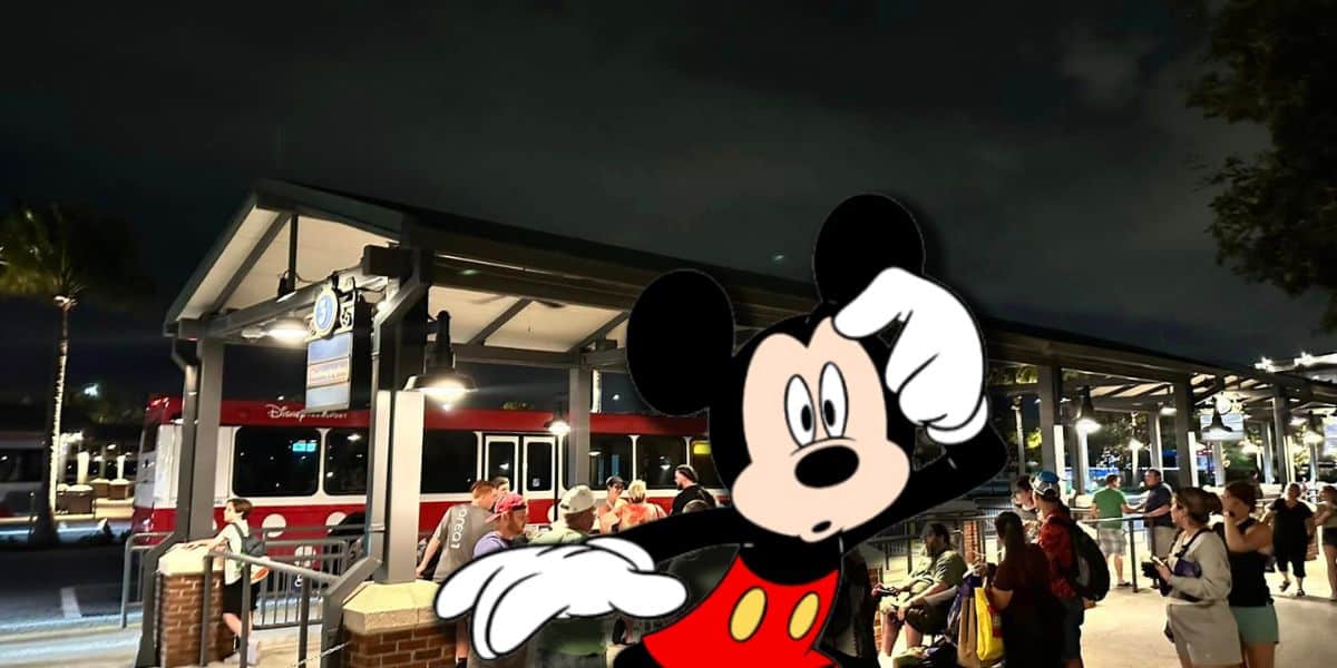Disney's Bus Transportation System Leaves Guests Stranded and Confused