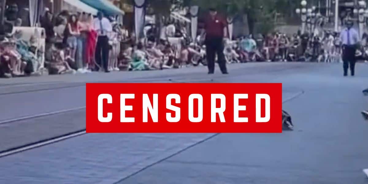 Disney Parade Disrupted By Shocking Public Sexual Display