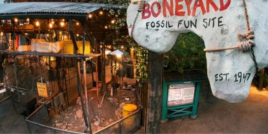 boneyard-animal-kingdom