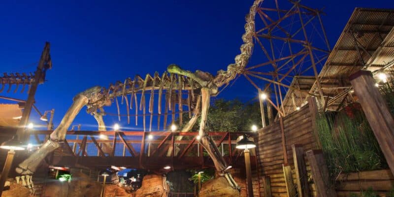 boneyard-animal-kingdom