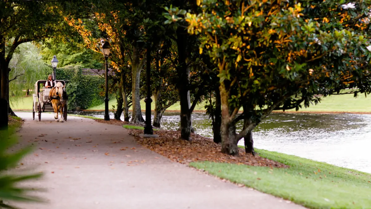 Port Orleans Riverside Carriage