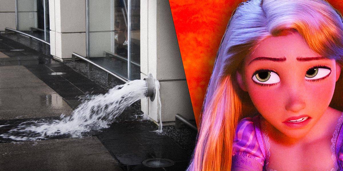 Confused Rapunzel on the right, looking at Disney World Trouble because of harsh weather