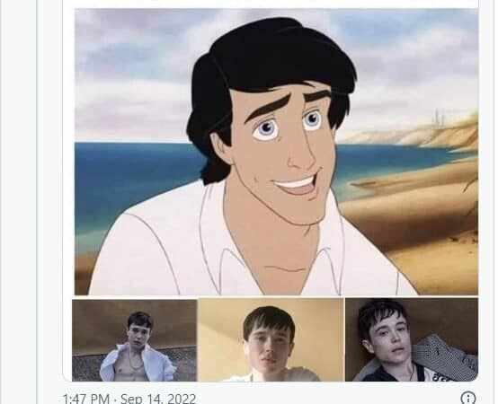 Actor proposed to be Prince Eric before Elliot Page disappoints Disney fans | Credit: @EliErlick