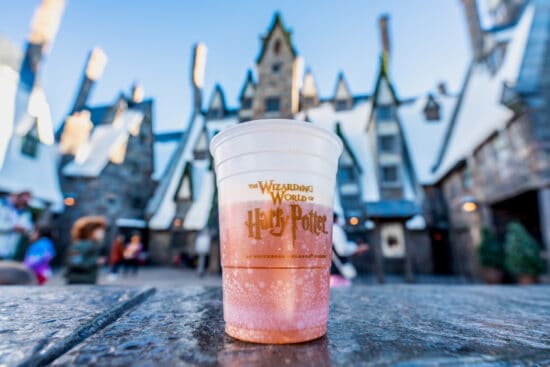 Sizzling Secrets Revealed: Your Ultimate Guide to Beat the Heat and Stay Cool at Theme Parks This Summer
