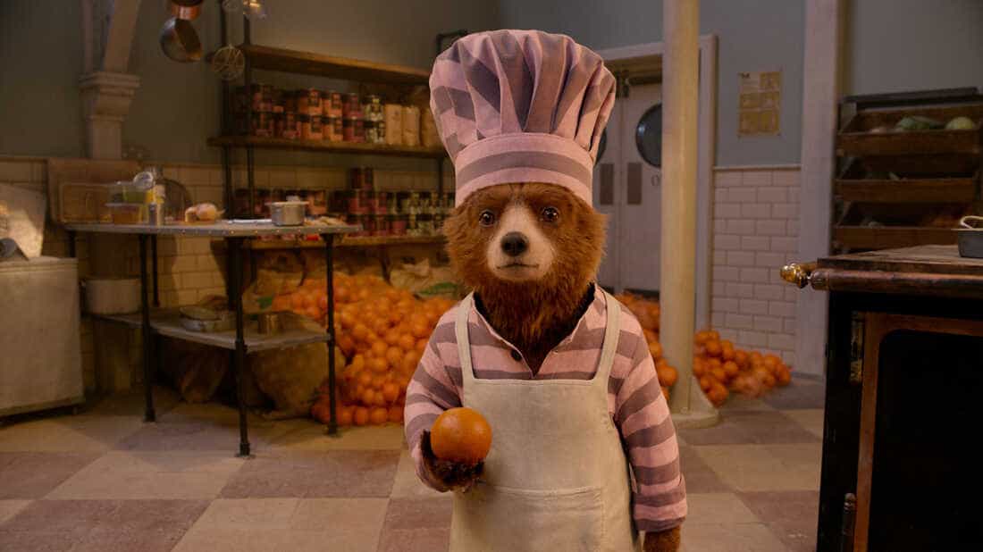 paddington in kitchen