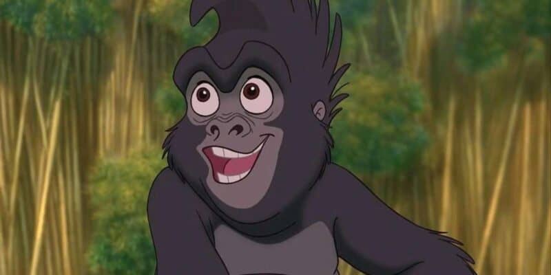 Rosie O'Donnell as Terk in Tarzan