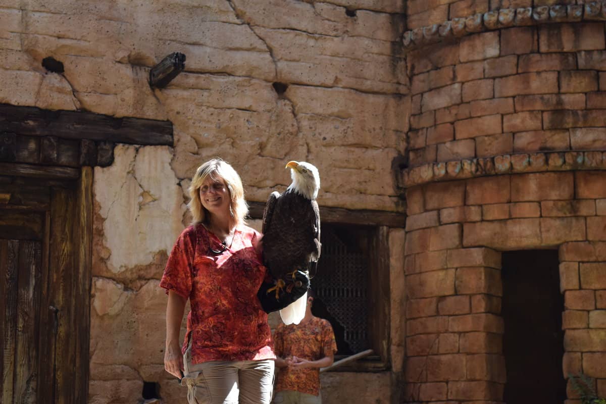 Feathered Friends in Flight at Disney's Animal Kingdom
