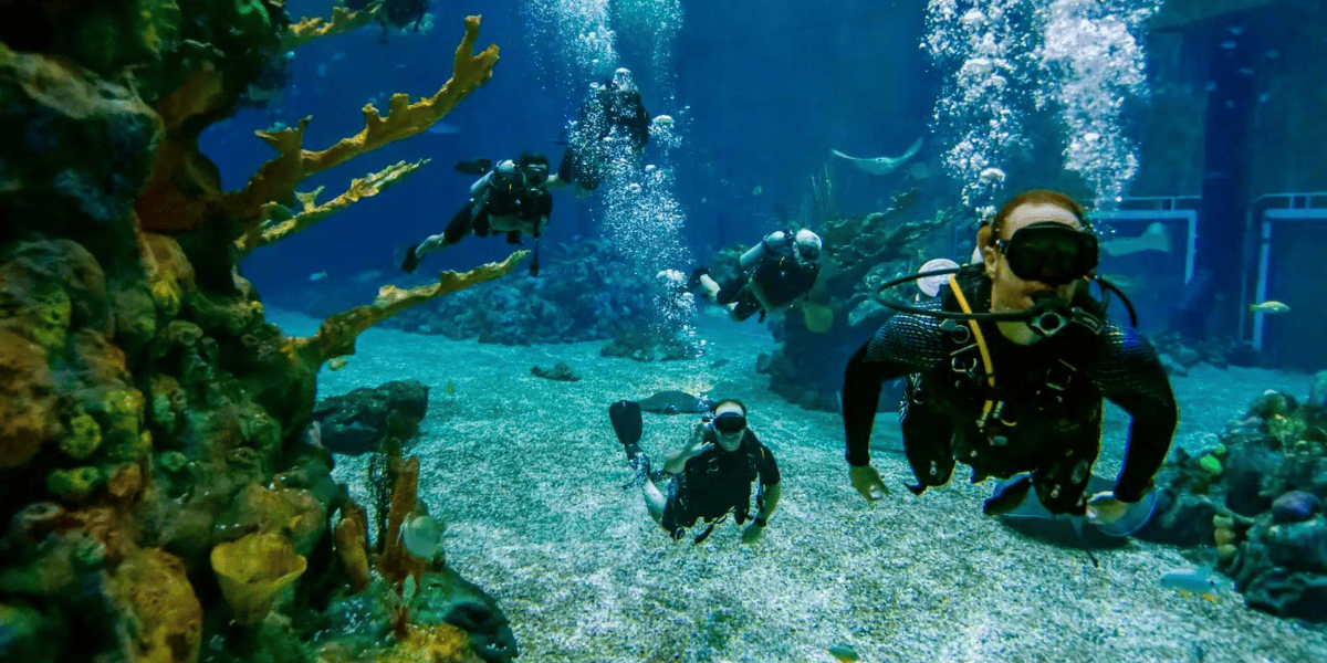 Guests seen diving inside of the DiveQuest experience at EPCOT within Disney World.