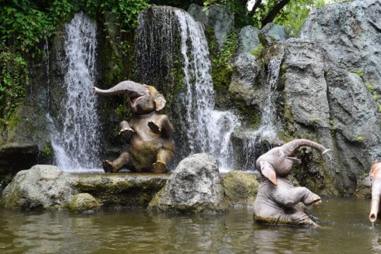 The Jungle Cruise at the Magic Kingdom